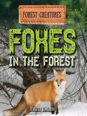 cover image of Foxes in the Forest